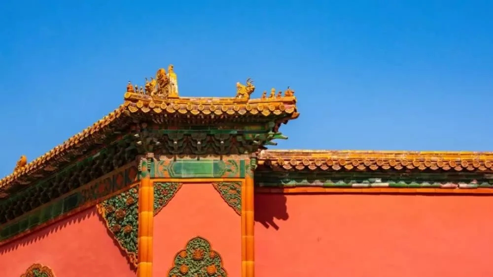 1571369351970045854.jpg 1000.webp.jpg